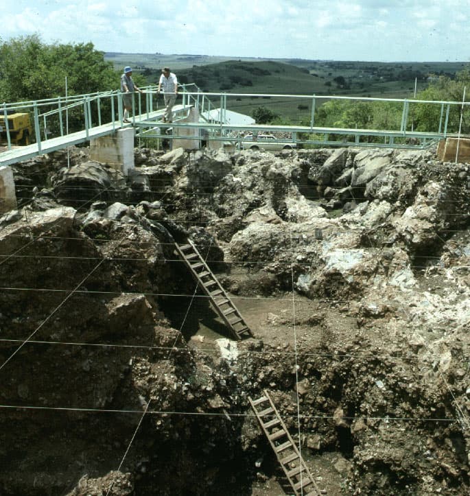 Pre-Human / Paleoanthropological
