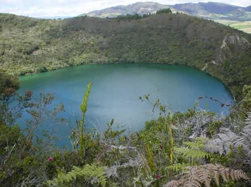 Muisca